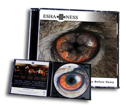 CD-Cover designed by eshaness&ftf-media